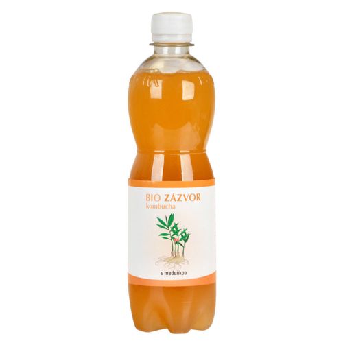 STEVIKOM - Kombucha zázvorová s meduňkou BIO, 500ml CZ-BIO-001 certifikát