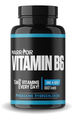 Vitamin B6 tablety 100 tab