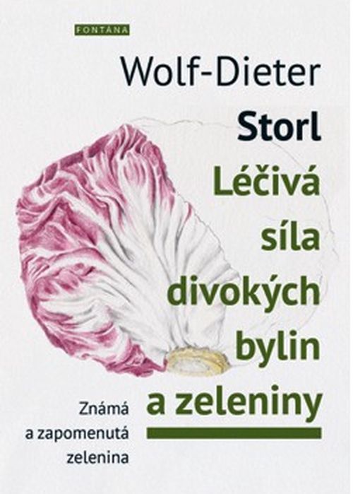 Fontána Léčivá síla divokých bylin a zeleniny - Wolf-Dieter Storl