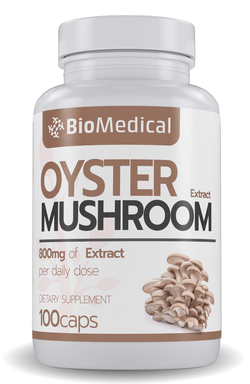 Oyster Mushroom Extract, Hlíva ústřičná – extrakt z Hlívy ústřičné